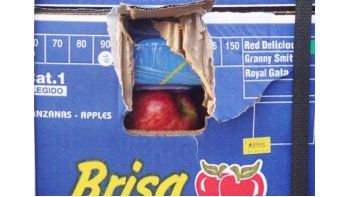 se conoce sentencia por manzanas blancas