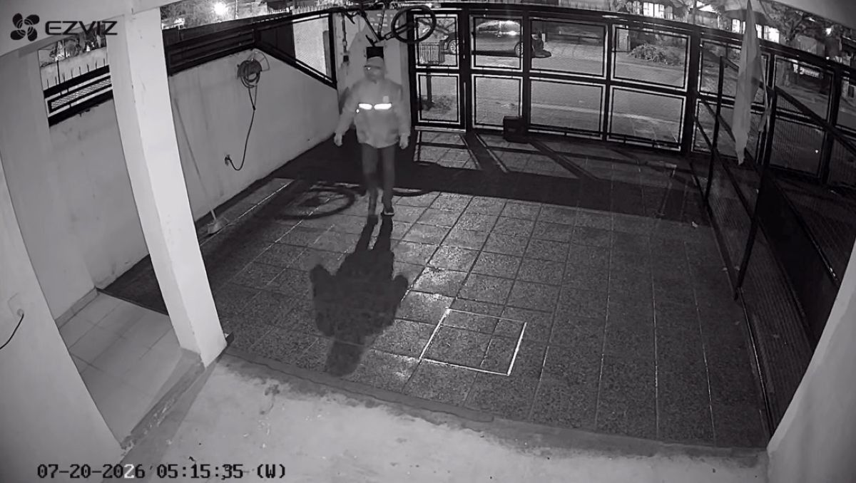 El ladrón quedó registrado por las cámaras de seguridad.