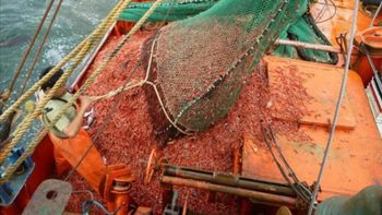 Más de 100 pesqueros permanecen amarrados en puertos de la Patagonia y Mar del Plata desde que el 17 de marzo se habilitó la temporada en aguas nacionales.