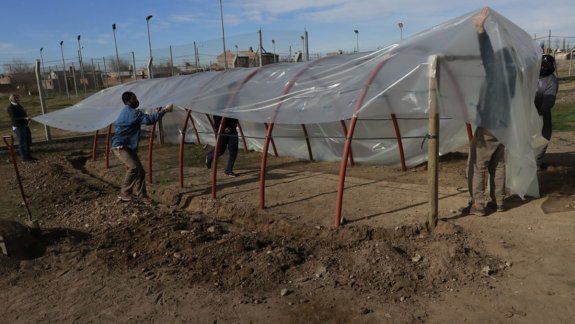 Familias cipoleñas se suman a la producción de alimentos saludables