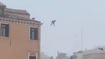 video: salto del techo de un edificio hacia el gran canal de venecia