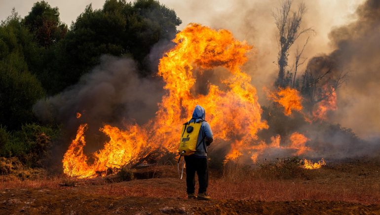 Los incendios en Chile fueron devastadores.