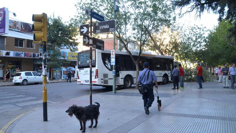 Marche preso. Un vecino escrachó a otros con una interesante opinión y encendió el debate. Foto ilustrativa.