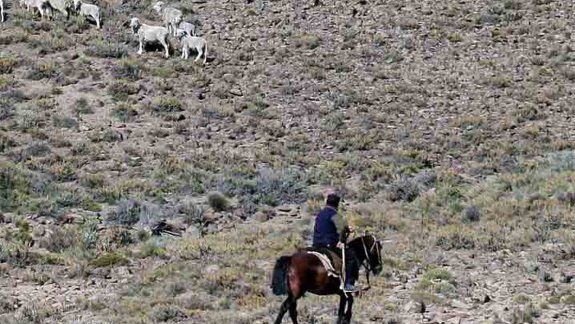 La escasez de lluvias complica al agro en distintas regiones.