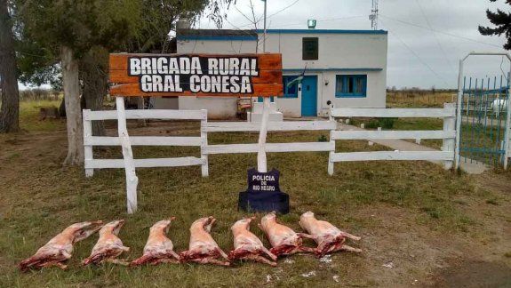 Lo pararon en un control y le encontraron siete corderos escondidos