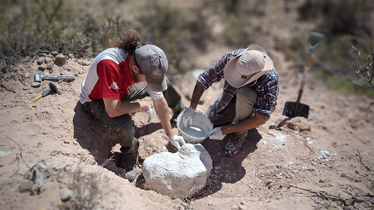 &nbsp;Los restos aparecieron en el Área Natural Protegida Paso Córdoba, ubicada en General Roca. Foto: Gentileza.