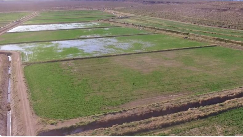 El trabajo demandará una inversión de 1.180 millones de pesos y servirá de base para futuras obras de infraestructura de riego en el Corredor Productivo del Viento. | LMCipolletti.com El trabajo demandará una inversión de 1.180 millones de pesos y servirá de base para futuras obras de infraestructura de riego en el Corredor Productivo del Viento.