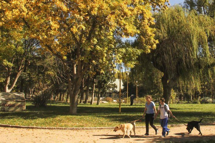Este 21 de marzo marca la llegada del otoño a Cipolletti.&nbsp;