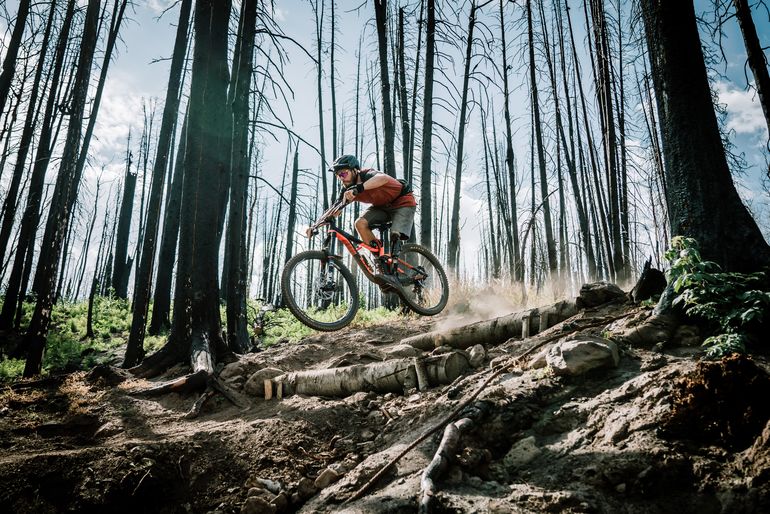 Se proyectar&aacute;n cortos y documentales premiados en el mundo, adem&aacute;s de producciones nacionales, sumado a charlas y talleres.