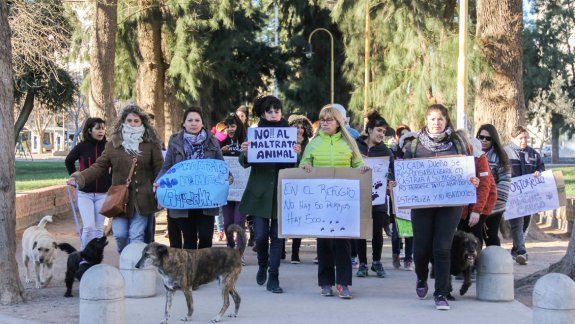 Las mascoteras exigen un mayor compromiso del Municipio con los perros.