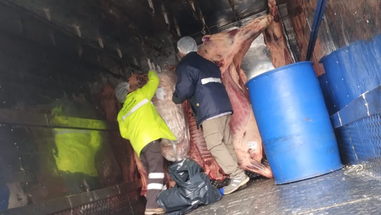 13 costillares fueron decomisados por no cumplir con las normativas de higiene. 13 costillares fueron decomisados por no cumplir con las normativas de higiene.