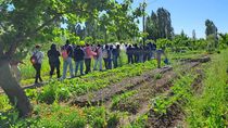 el municipio confirmo el plan de llevar la huerta comunitaria a la isla jordan