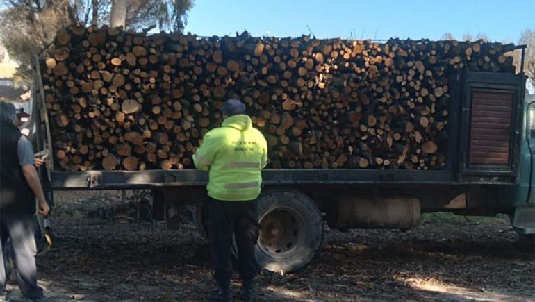 En un control de rutina, decomisaron cuatro mil kilos de leña