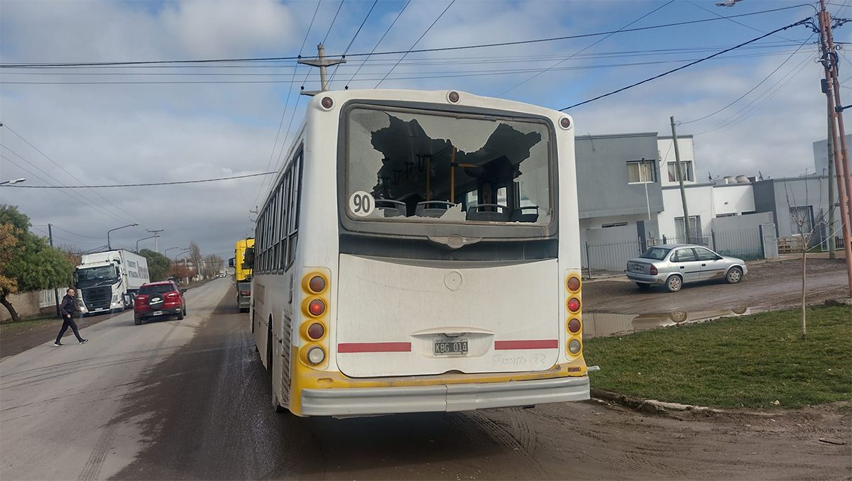 Destruyeron los vidrios de un colectivo y aseguraron que el chofer había atropellado un perro