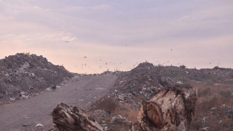 El actual basural público está saturado y