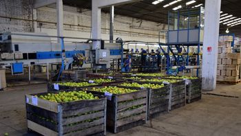 Tarifazo eléctrico en Río Negro: fuerte cruce entre el Gobierno y las pymes por un aumento que podría llegar al 64% | LMCipolletti.com Tarifazo eléctrico en Río Negro: fuerte cruce entre el Gobierno y las pymes por un aumento que podría llegar al 64%