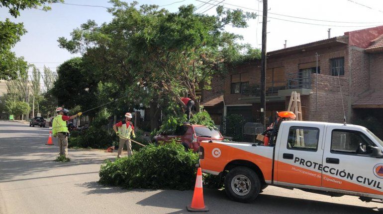 Un día caótico: árboles caídos y cinco amenazas de bomba que pusieron en alerta al Alto Valle