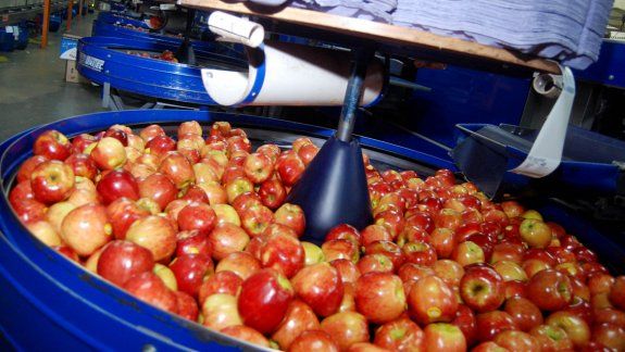 Las liquidaciones de la última temporada de cosecha trajeron malas noticias para los chacareros, que ahora le deben dólares a los empresarios exportadores.