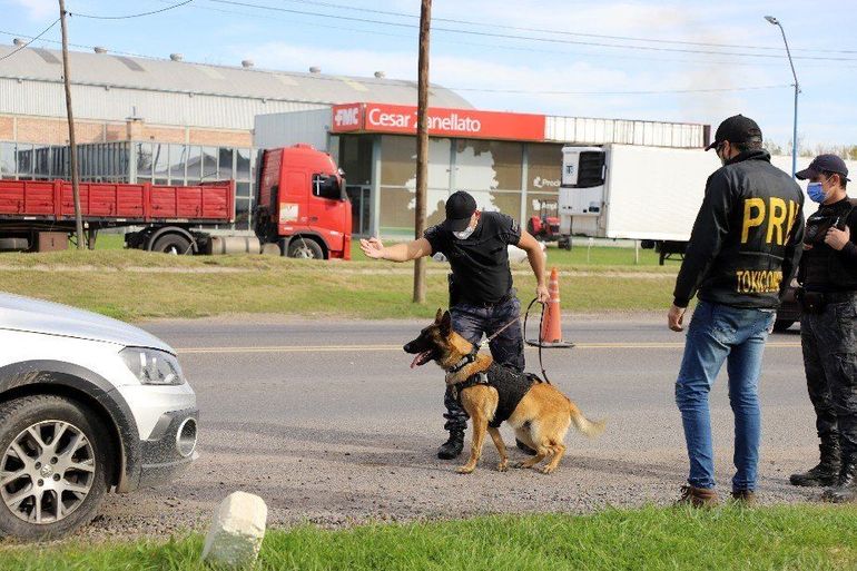  Otro narco tras las rejas gracias al perro Máximo