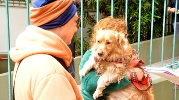 El perrito que la rompió en la puerta de la escuela 53. Cristina -con pañuelo en la cabeza- dueña de una emotiva historia. El color de las elecciones en Cipolletti.