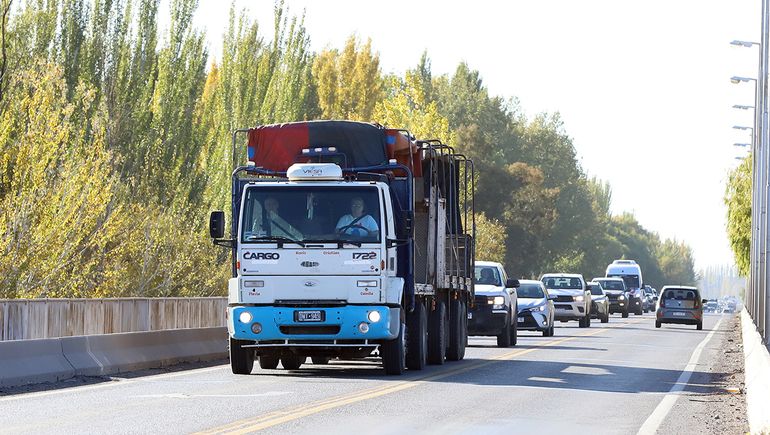Cuáles son los cambios que ya rigen para sacar las licencias de conducir profesional