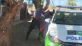 El sospechoso fue detenido por la policía de Cinco Saltos a pocos metros del comercio afectado por el robo. Recuperaron una caja registradora con dinero. | LMCipolletti.com El sospechoso fue detenido por la policía de Cinco Saltos a pocos metros del comercio afectado por el robo. Recuperaron una caja registradora con dinero.