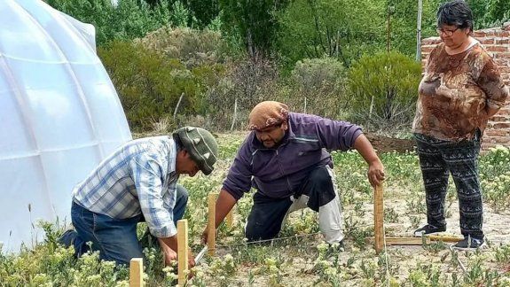 Río Negro cierra el año con 70 Invernaderos Escuela en marcha