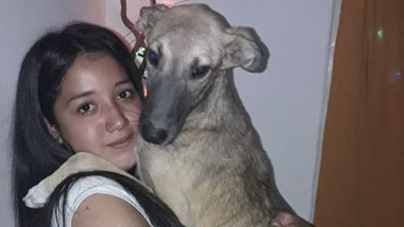 Cipoleña busca por cielo y tierra a su perro perdido