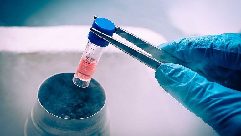 No saben qué hacer con 20 mil embriones congelados