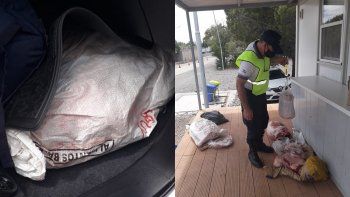 intento transportar 400 kilos de carne ilegal y lo atraparon