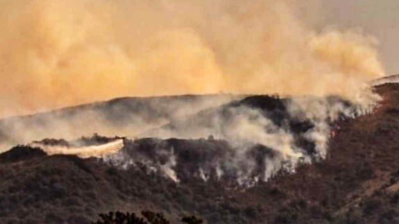 Alertan por incendios forestales  de gran magnitud en Río Negro