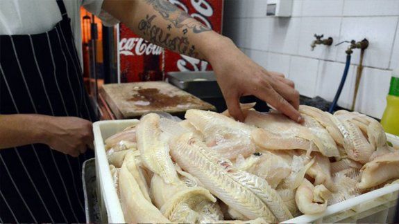 Decomisaron pescado ilegal que iba a ser vendido en Cipolletti