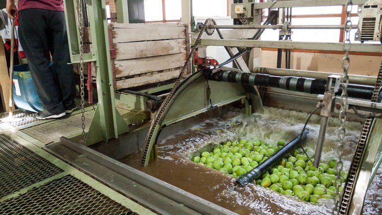 Las jugueras van a buscar a domicilio a sus empleados