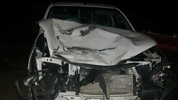 Chocaron contra un caballo sobre la Ruta 151 y se salvaron de milagro