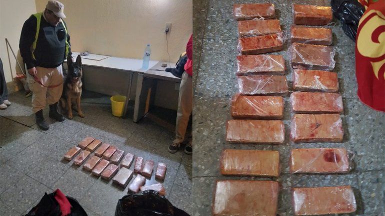 Encontraron más de 10 kilos de marihuana que iba a Neuquén