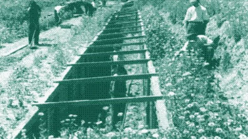 La hazaña olvidada del siglo XX: cómo cultivaron frutas tropicales a -30°C en el invierno ruso | LMCipolletti.com La hazaña olvidada del siglo XX: cómo cultivaron frutas tropicales a -30°C en el invierno ruso