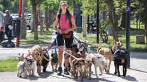 Gabriela, en pleno paseo con las mascotas este jueves en el centro cipoleño. Foto Anahí Cárdena. Gabriela, en pleno paseo con las mascotas este jueves en el centro cipoleño. Foto Anahí Cárdena.