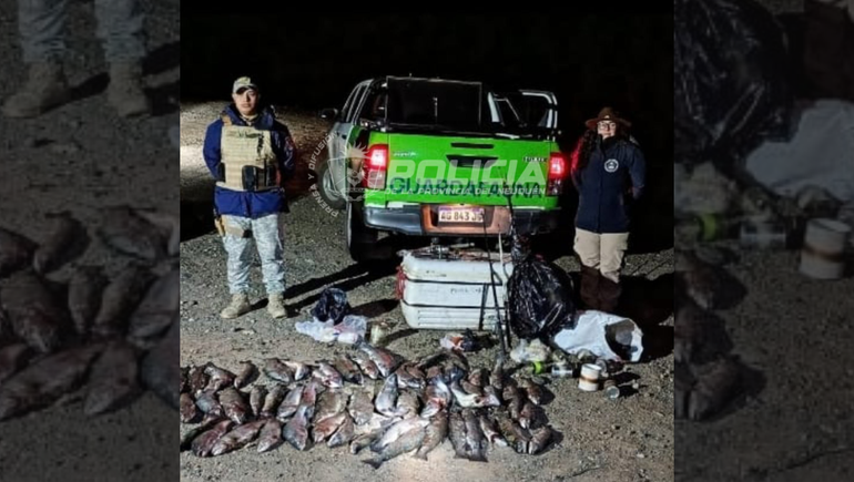 El operativo de Fauna secuestró más de 50 truchas en Neuquén