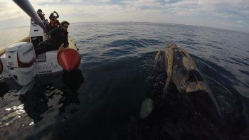 El ecoturismo toma fuerza en la Bahía de San Antonio 