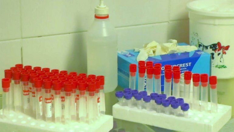 La provincia confirmó 43 nuevos casos de coronavirus