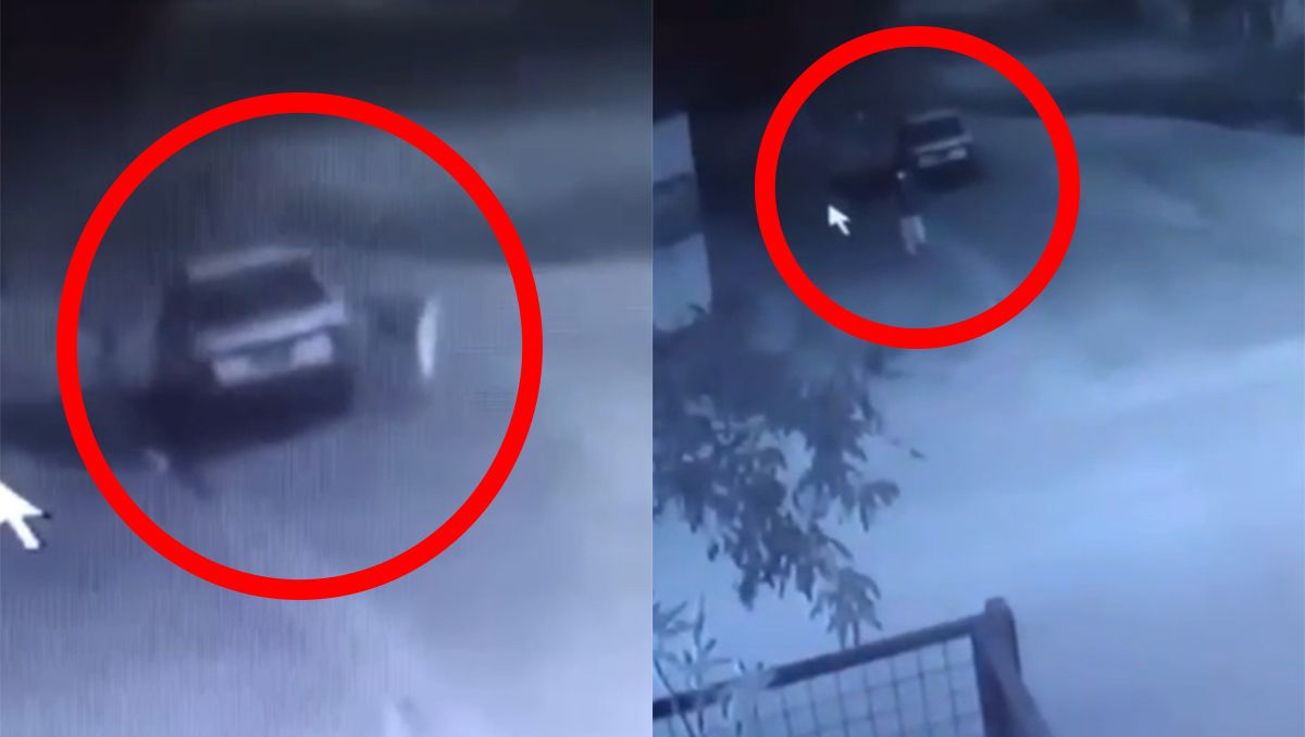 El ataque de un roba ruedas que fue impedido por una abuela