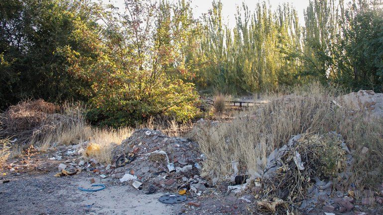 Denuncian que un baldío se convirtió en un aguantadero