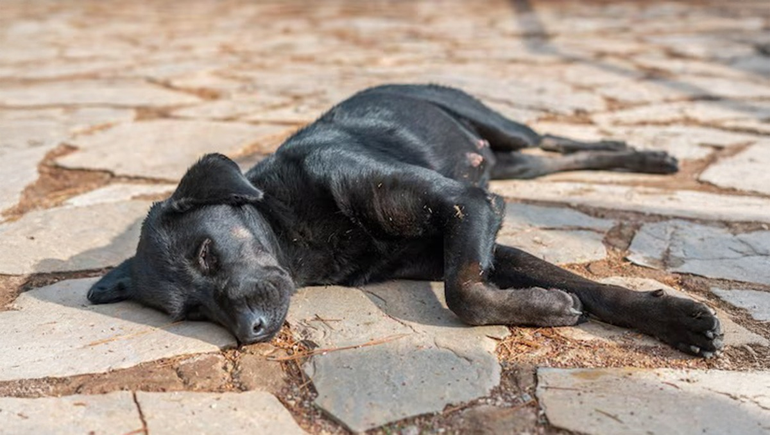 La tristeza invadió al Bandido y a toda la ciudad. Foto ilustrativa de archivo.
