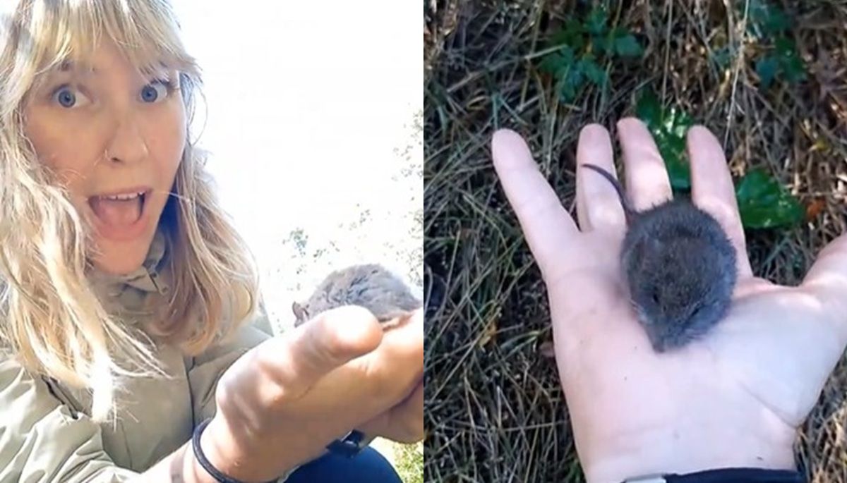La influencer mostró el momento en redes sociales y generó polémica. Foto: Gentileza.