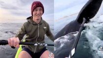 sorpresa en el mar: tres ballenas rodearon a dos kayakistas sorpresa en el mar: tres ballenas rodearon a dos kayakistas