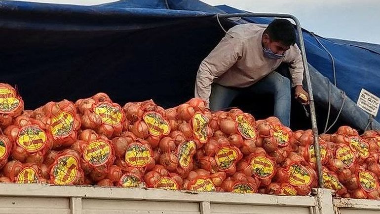 Donarán a comedores los 28 mil kilos de cebolla decomisados