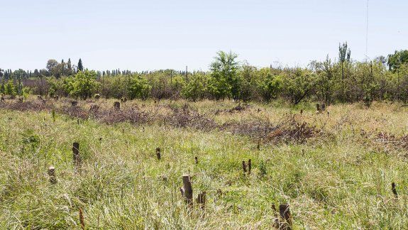 El Banco de Tierras tendrá varios cambios