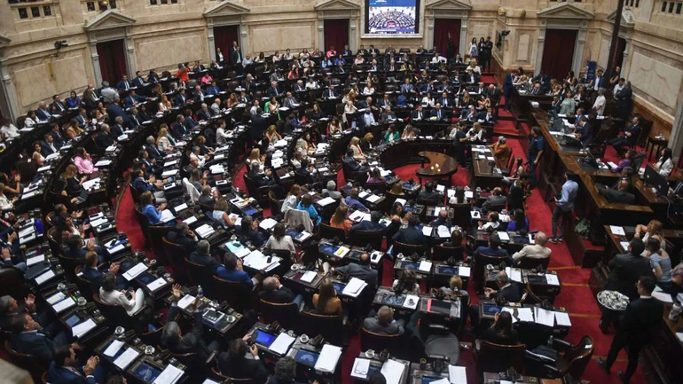 Diputados debaten la Ley Ómnibus. Fotos: Télam.