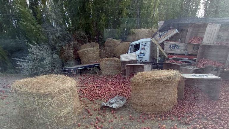 Un peligro: dos camiones provocaron un brutal choque sobre la Ruta 151