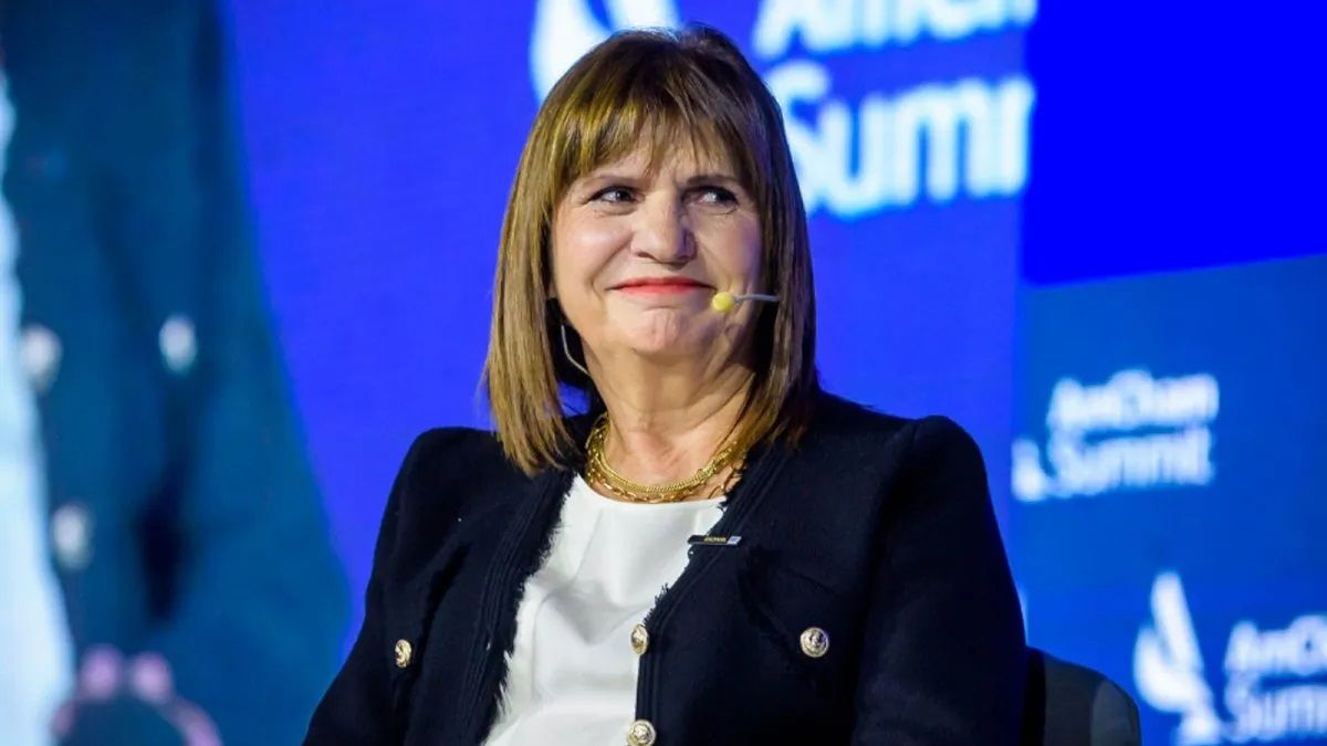 Bullrich: Que extranjeros utilicen servicios sin pagar me parece una injusticia